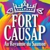 Festival Fort Causap - Causapscal